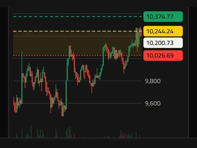 A chart with lines for the top of the daily price range and the previous support and resistance levels.