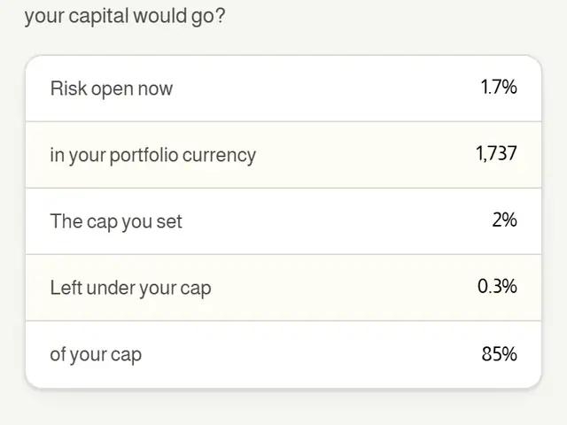 Risk budget: the open risk in percent and in the portfolio currency.