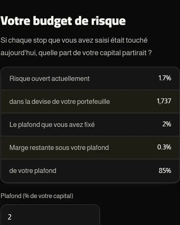 Budget de risque : le risque ouvert maintenant, en pourcentage et dans la devise du portefeuille.