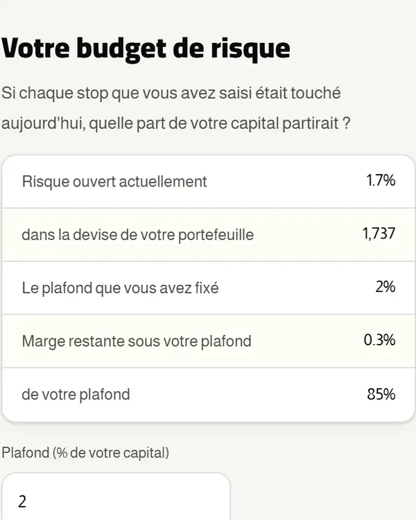Budget de risque : le risque ouvert maintenant, en pourcentage et dans la devise du portefeuille.