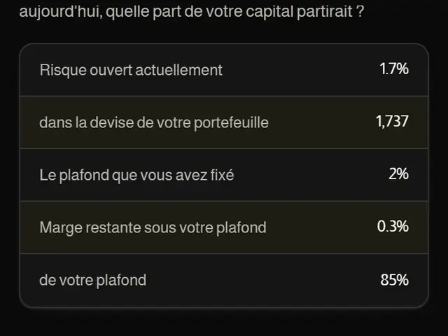 Budget de risque : le risque ouvert en pourcentage et dans la devise du portefeuille.